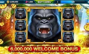 winbet winbet