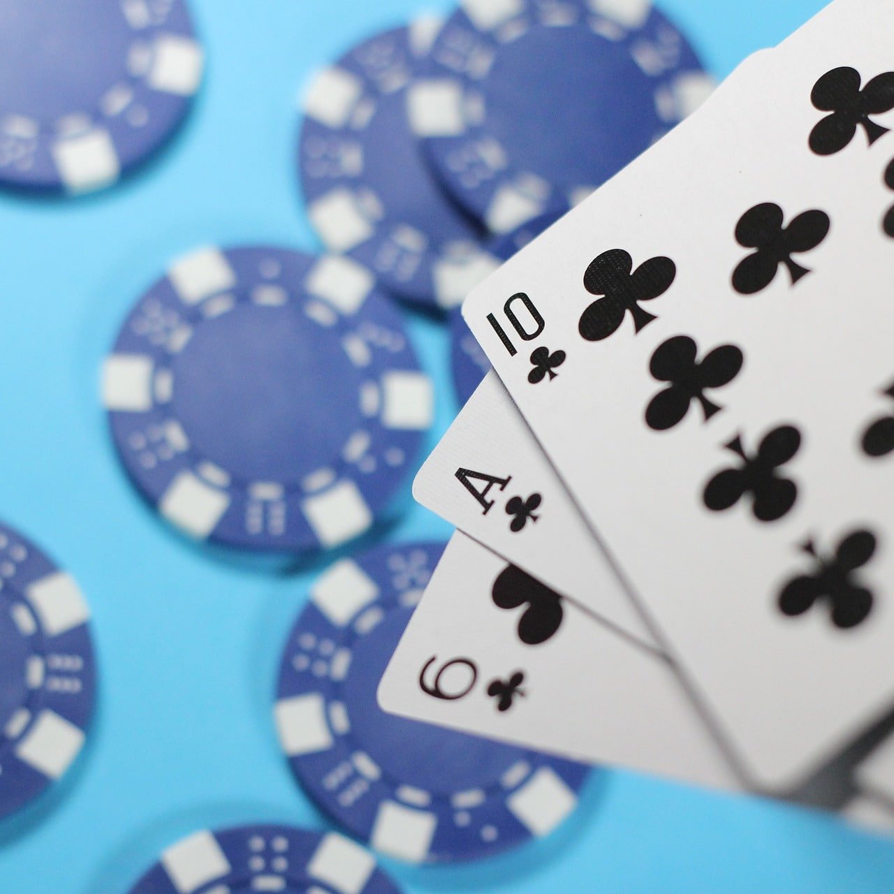 winbet
